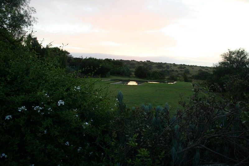 Leeuwenbosch Country House - Amakhala Game Reserve Exterior photo