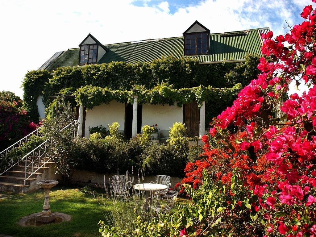 Leeuwenbosch Country House - Amakhala Game Reserve Exterior photo