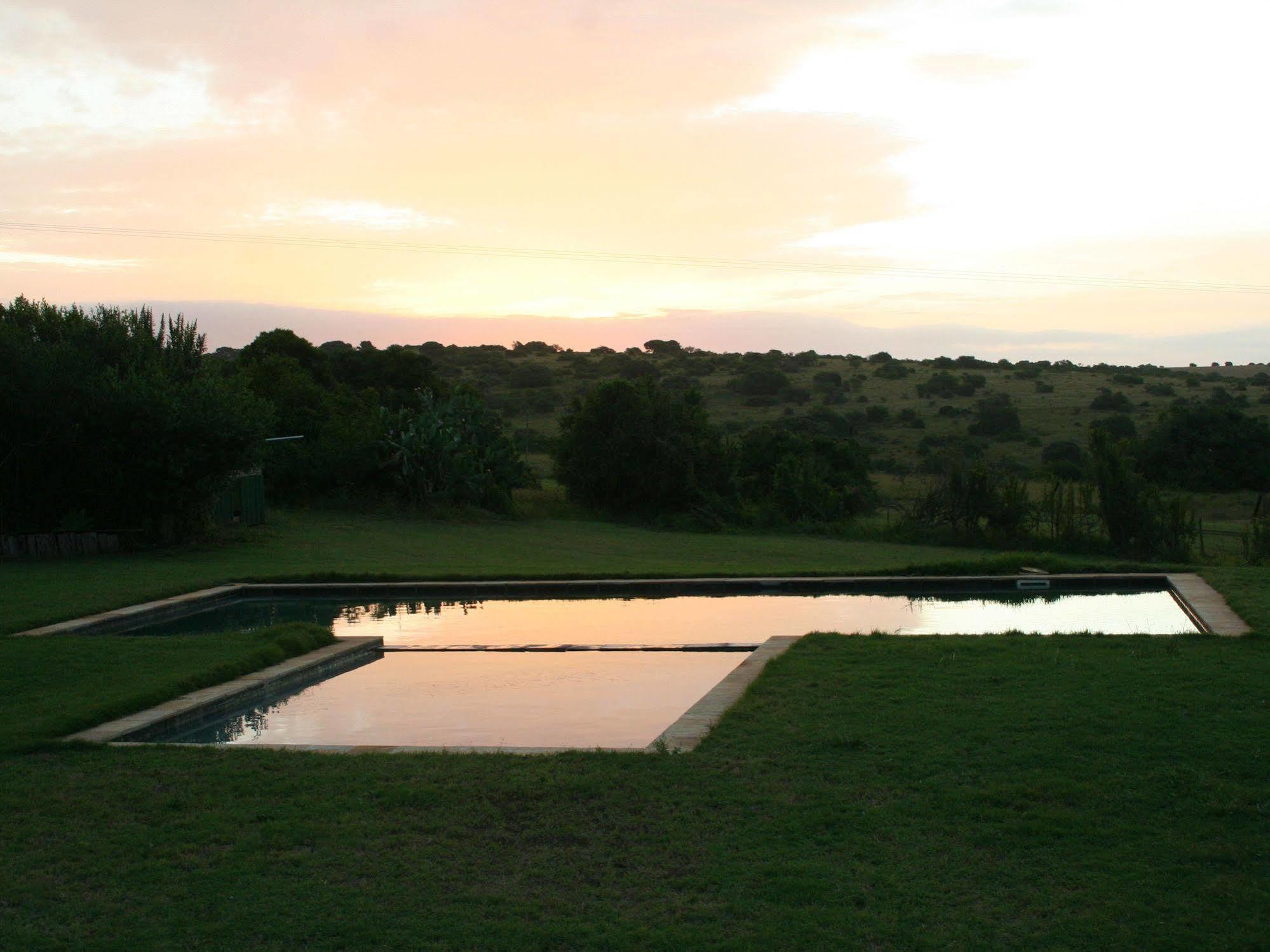 Leeuwenbosch Country House - Amakhala Game Reserve Exterior photo