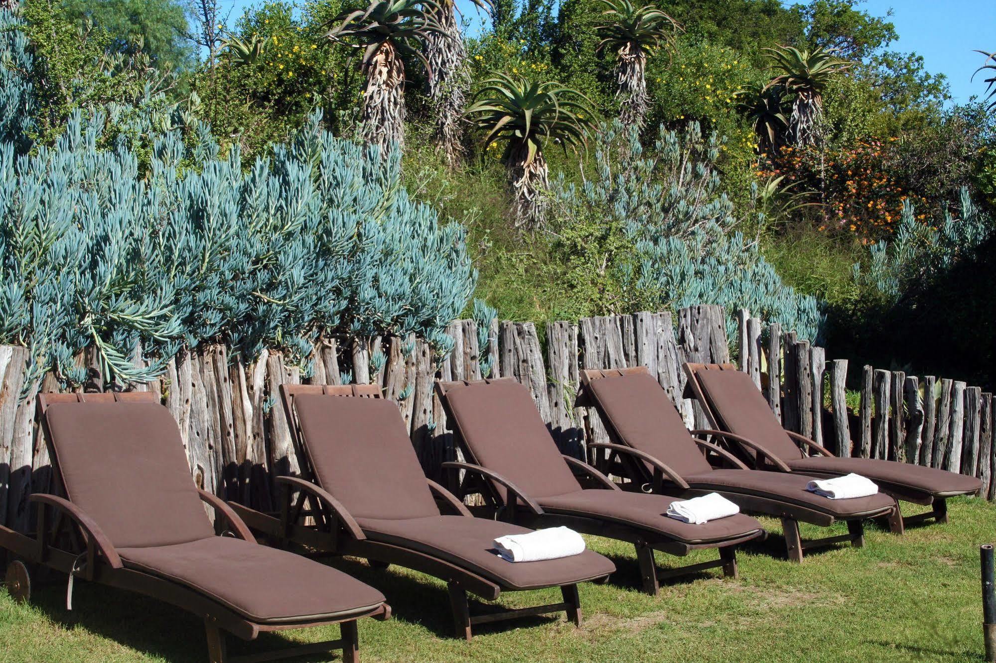 Leeuwenbosch Country House - Amakhala Game Reserve Exterior photo